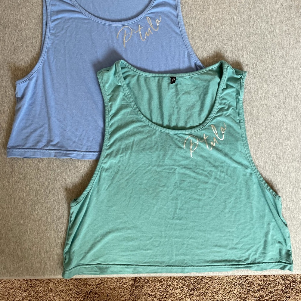 SOLD - Ptula Andie Crop Top - M